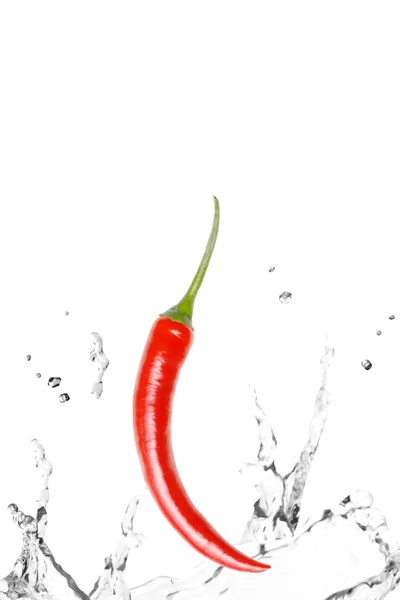 Färsk chili — Stockfoto