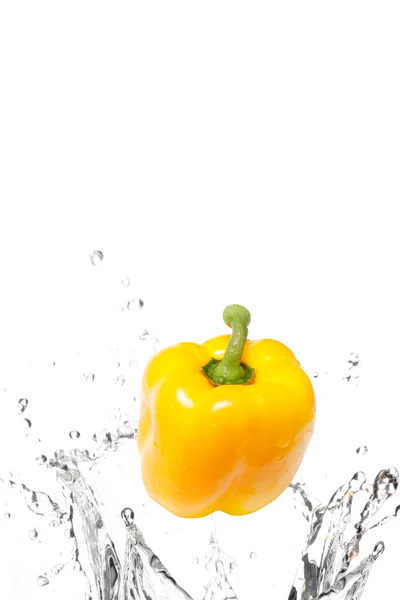 Čerstvé žluté papriky — Stock fotografie