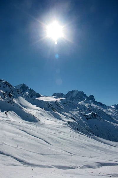 Альпійські сонця — стокове фото