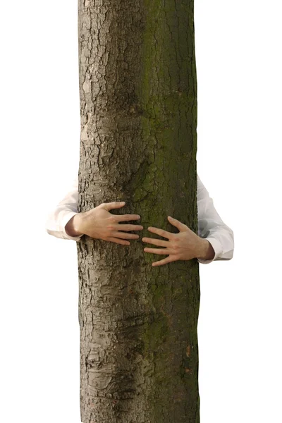 一名男子抱着一棵树 — 图库照片