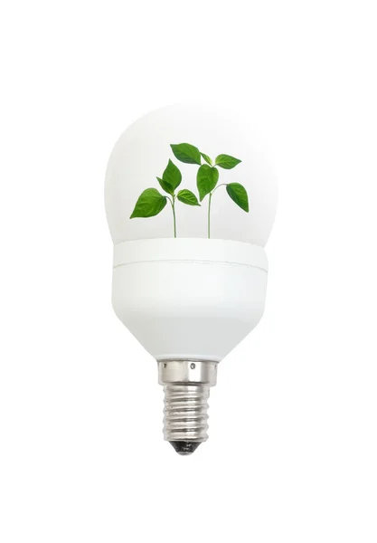 Light bulb with leaves — Stock Photo, Image