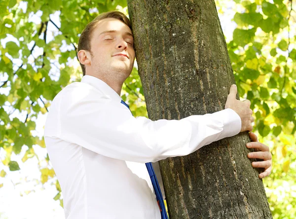 Деловой человек обнимает дерево — стоковое фото
