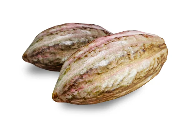 Fruta del cacao —  Fotos de Stock