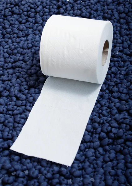 Toiletpaper — Zdjęcie stockowe
