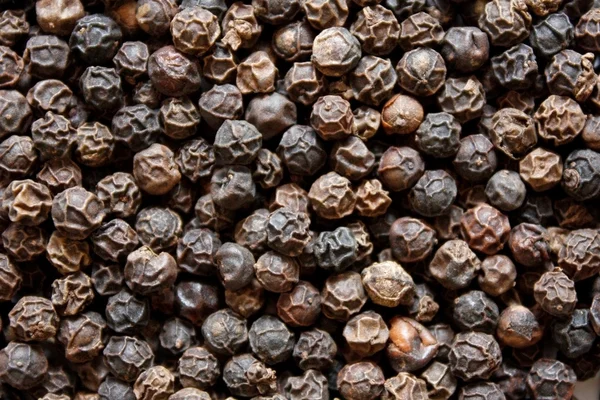 stock image Black pepper