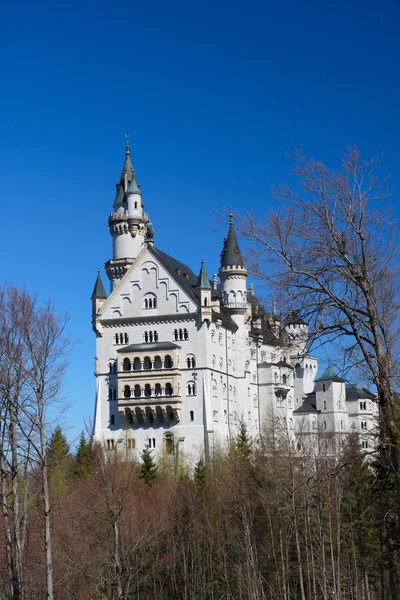 Palác neuschwanstein, Bavorsko, Německo — Stock fotografie