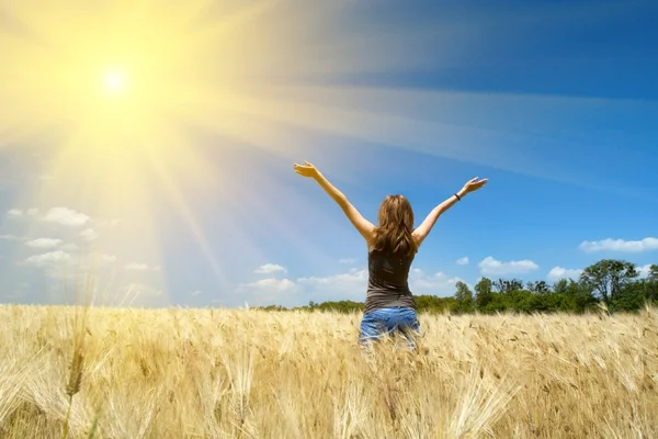 stock image Girl on a wheat field