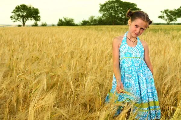 Chica en un campo de trigo —  Fotos de Stock