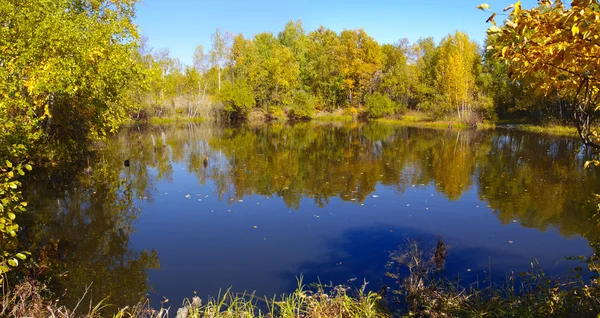 Día de otoño en el lago de madera — Foto de Stock