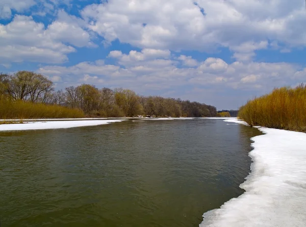 De lente rivier — Stockfoto