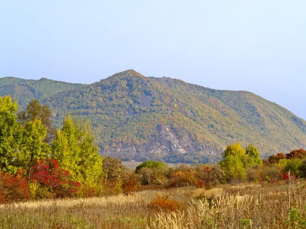 Herbstlandschaft am Rande des Waldes — Stockfoto