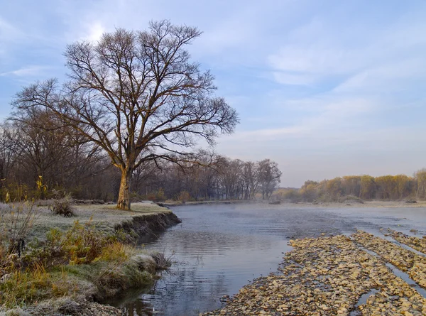 Mañana de otoño sobre el río — Foto de Stock