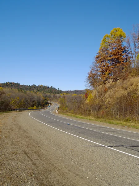 Horská silnice na podzim dřevo — Stock fotografie