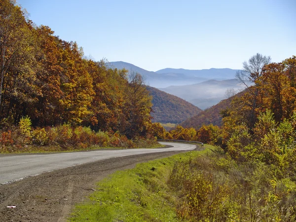 Strada di montagna a legno di autunno — Foto Stock