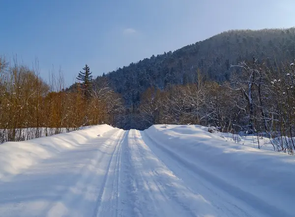 Krajina s dřevěným road zimní — Stock fotografie