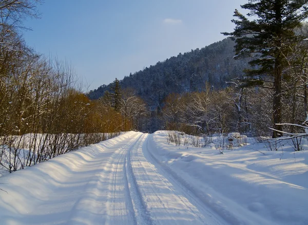 Пейзаж с зимней лесной дорогой — стоковое фото