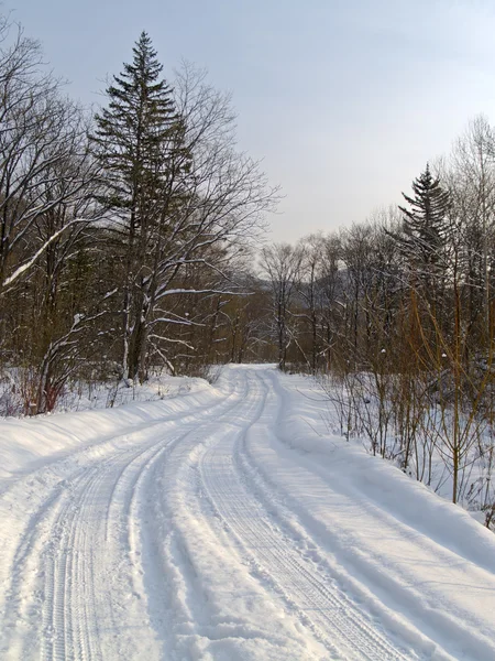 Strada per il legno invernale — Foto Stock