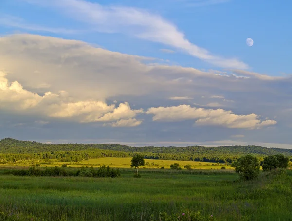 Paisagem de verão com um prado verde e o céu nublado — Fotografia de Stock