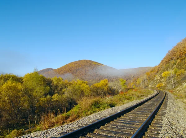 Самотня залізничних коліях — стокове фото