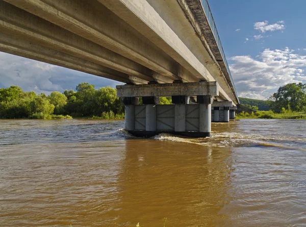 stock image On bank of the spring river at bridge