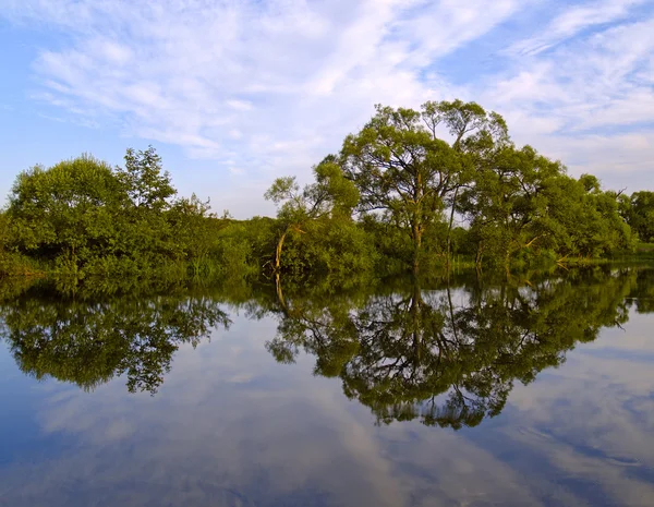 Reflecties van bomen in lake — Stockfoto
