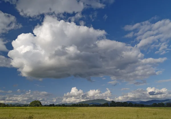 Paisagem do ano com prado e céu nublado Fotos De Bancos De Imagens
