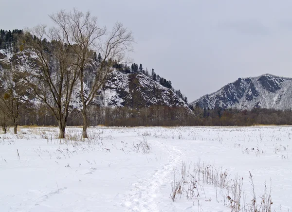 겨울에 sihote alin의 산 능선 — 스톡 사진