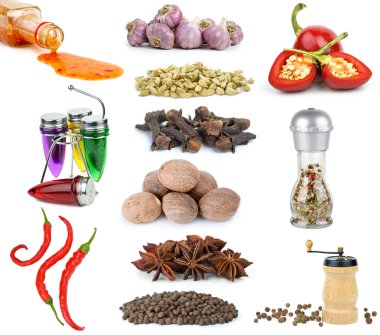 Set of different spices and condiments clipart