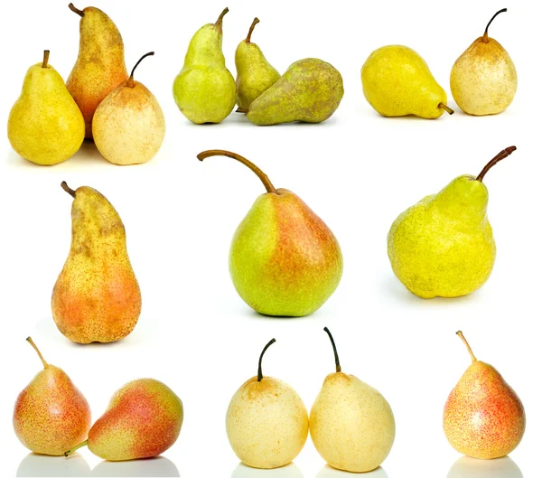 Set of different pears — Stock Photo, Image