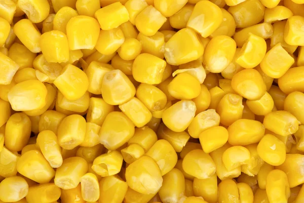 Food background: prepared corn grains — Stock Photo, Image