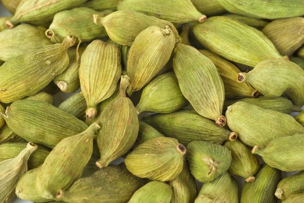 Zelené kardamon semena — Stock fotografie