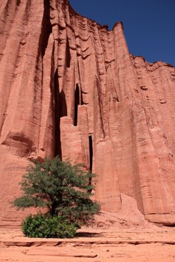 sanstone uçurumlar, talampaya