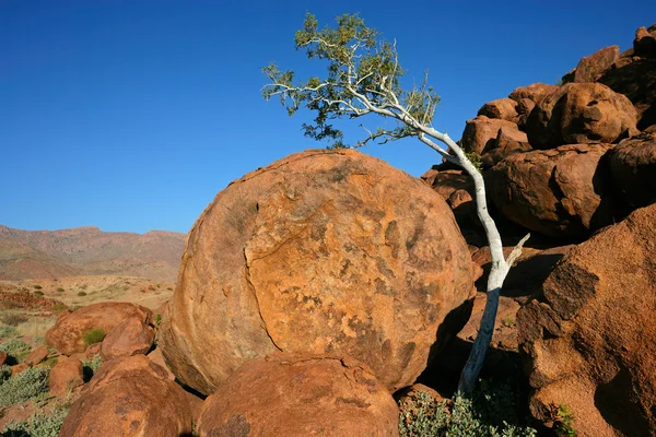 Árbol y granito rocas —  Fotos de Stock