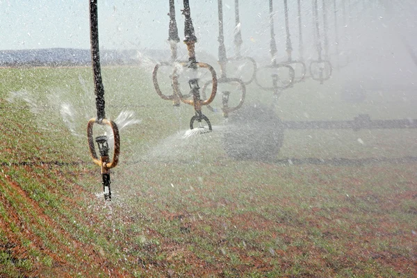 Water sprinklers — Stock Photo, Image