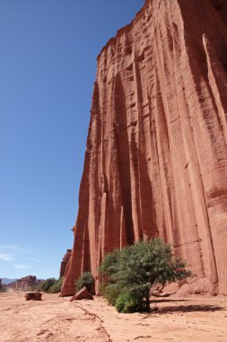 sanstone uçurumlar, talampaya