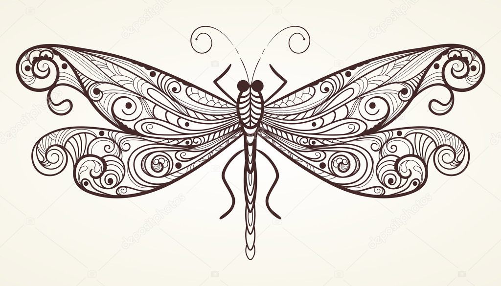 vector dragonfly with unique pattern