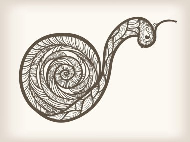 vector hand drawn monochrome snail clipart