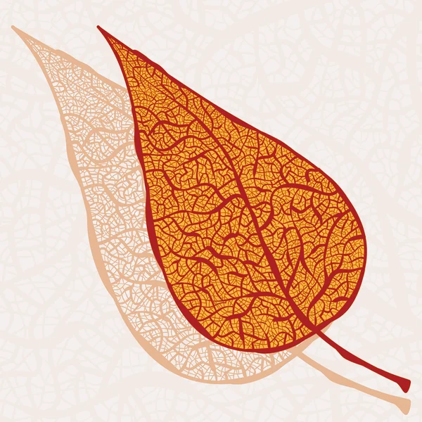 Vecteur millésimefeuille d'automne avec sa nuance tombe — Image vectorielle