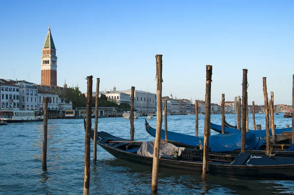 Gondoler och st mark's campanile, Venedig, Italien — Stockfoto