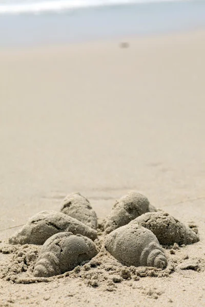 Seashell ster gemaakt van zand — Stockfoto