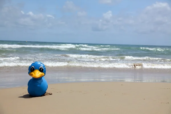 海岸で青色のおもちゃの鳥 — ストック写真