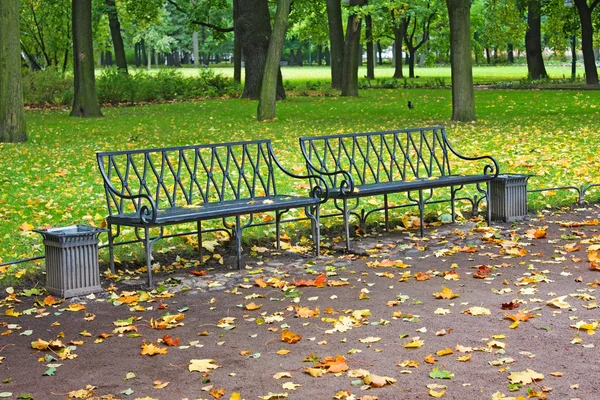 Осенью пустая скамейка в городском парке — стоковое фото