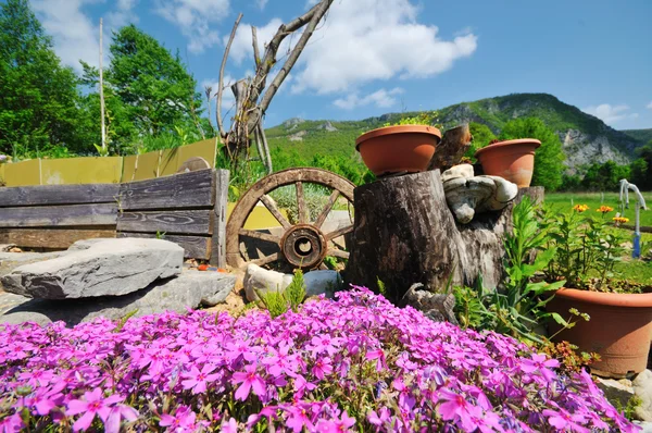 Garten mit schöner Blumendekoration — Stockfoto