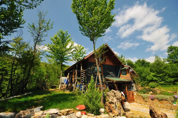 Maison de campagne en bois avec jardin magnifique — Photo