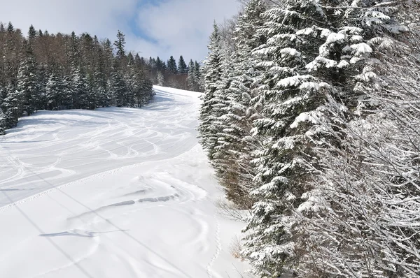Трассы на лыжных трассах в прекрасный солнечный зимний день — стоковое фото