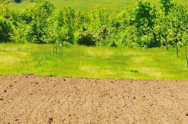Kırsal alanda tarım — Stok fotoğraf