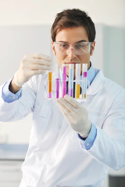 Research and science in labaratory — Stock Photo, Image