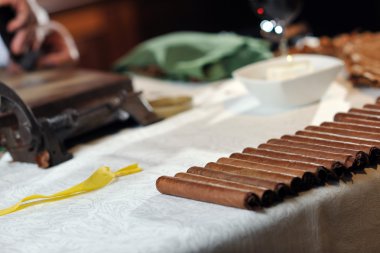 Man making luxury handmade cuban cigare clipart