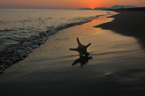 Καλοκαίρι παραλία ηλιοβασίλεμα με αστέρι στην παραλία — Φωτογραφία Αρχείου