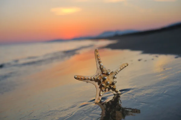 ビーチで星と夏のビーチの夕日 — ストック写真